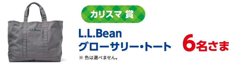 カリスマ 賞 L.L.Bean グローサリー・トート 6名さま