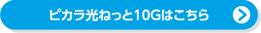 ピカラ光ねっと10Gはこちら