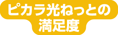 ピカラ光ねっとの満足度
