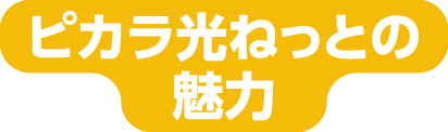 ピカラ光ねっとの魅力