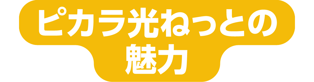ピカラ光ねっとの魅力