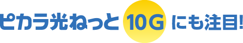 ピカラ光ねっと10Gにも注目！