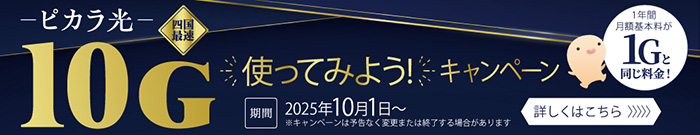 ピカラ光ねっと10G 使ってみよう！キャンペーン 2025年10月1日～ ※キャンぺーンは予告なく変更または終了する場合があります。