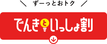 でんきといっしょ割