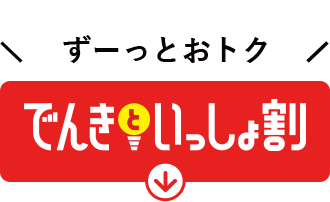 でんきといっしょ割