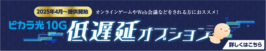 ピカラ光10G 低遅延オプション