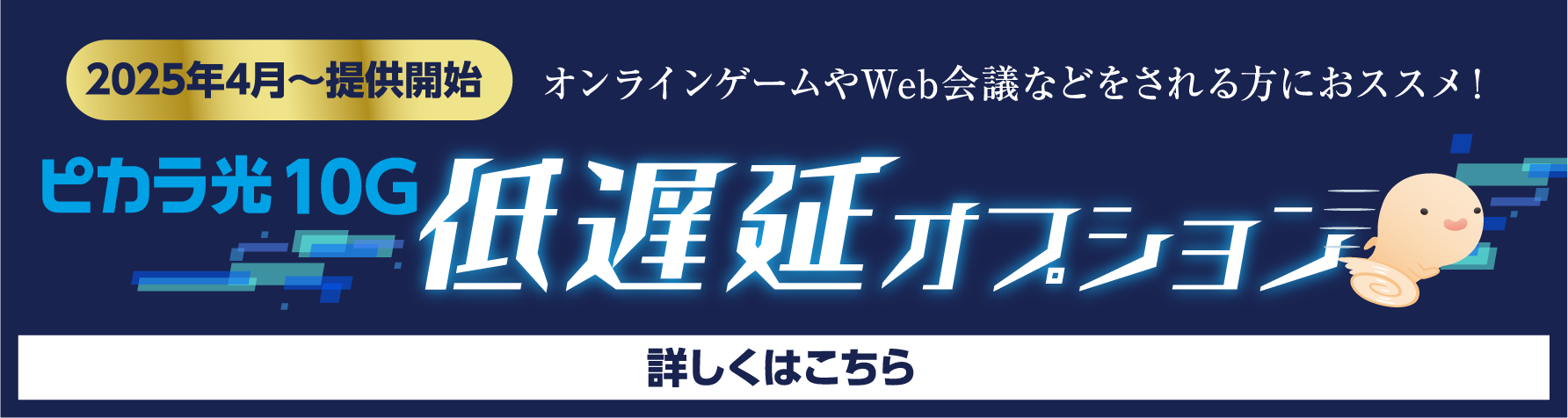 ピカラ光10G 低遅延オプション