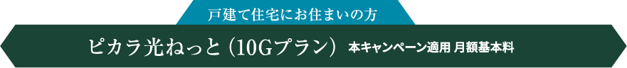 戸建て住宅にお住まいの方 ピカラ光ねっと（10Gプラン） 本キャンペーン適用 月額基本料