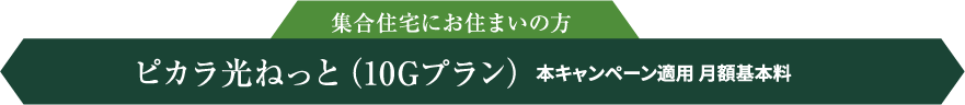 集合住宅にお住まいの方 ピカラ光ねっと（10Gプラン） 本キャンペーン適用 月額基本料