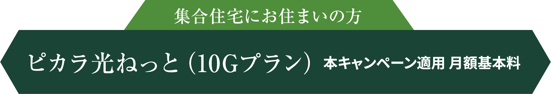 集合住宅にお住まいの方 ピカラ光ねっと（10Gプラン） 本キャンペーン適用 月額基本料