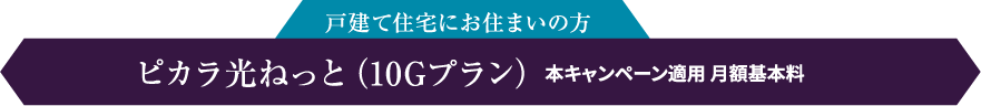 戸建て住宅にお住まいの方 ピカラ光ねっと（10Gプラン） 本キャンペーン適用 月額基本料