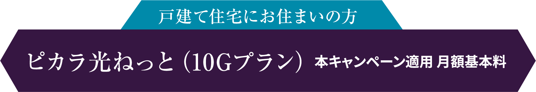 戸建て住宅にお住まいの方 ピカラ光ねっと（10Gプラン） 本キャンペーン適用 月額基本料