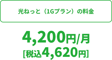 光ねっと（1Gプラン）の料金 4,200円/月[税込4,620円]