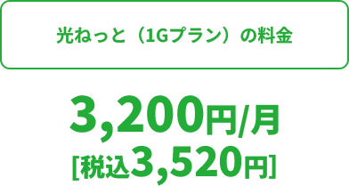 光ねっと（1Gプラン）の料金 3,200円/月[税込3,520円]
