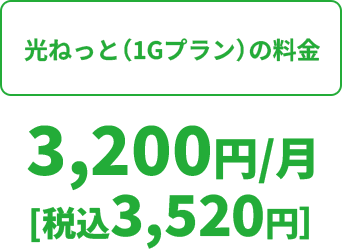 光ねっと（1Gプラン）の料金 3,200円/月[税込3,520円]