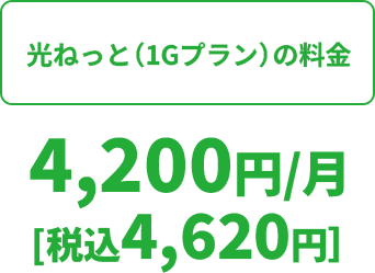 光ねっと（1Gプラン）の料金 4,200円/月[税込4,620円]