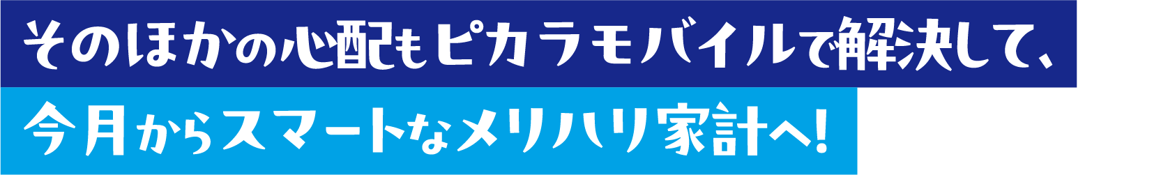 そのほかの心配もピカラモバイルで解決して、今月からスマートなメリハリ家計へ！