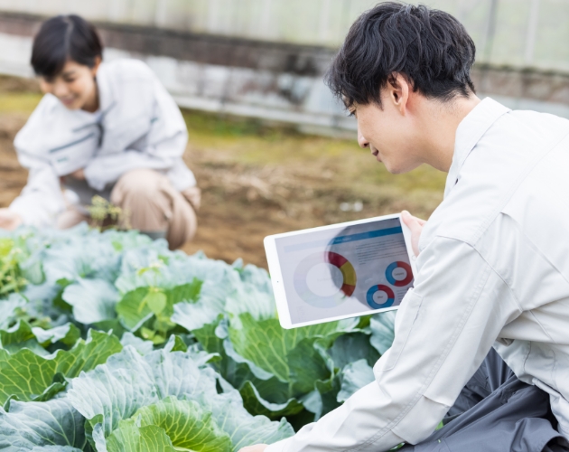 システム管理している農作業