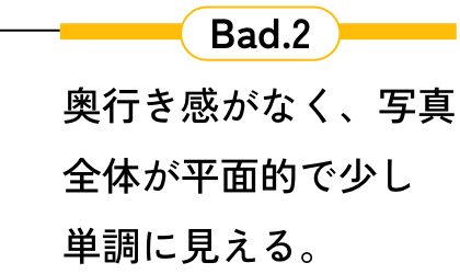 Bad.2 奥行き感がなく、写真全体が平面的で少し単調に見える。