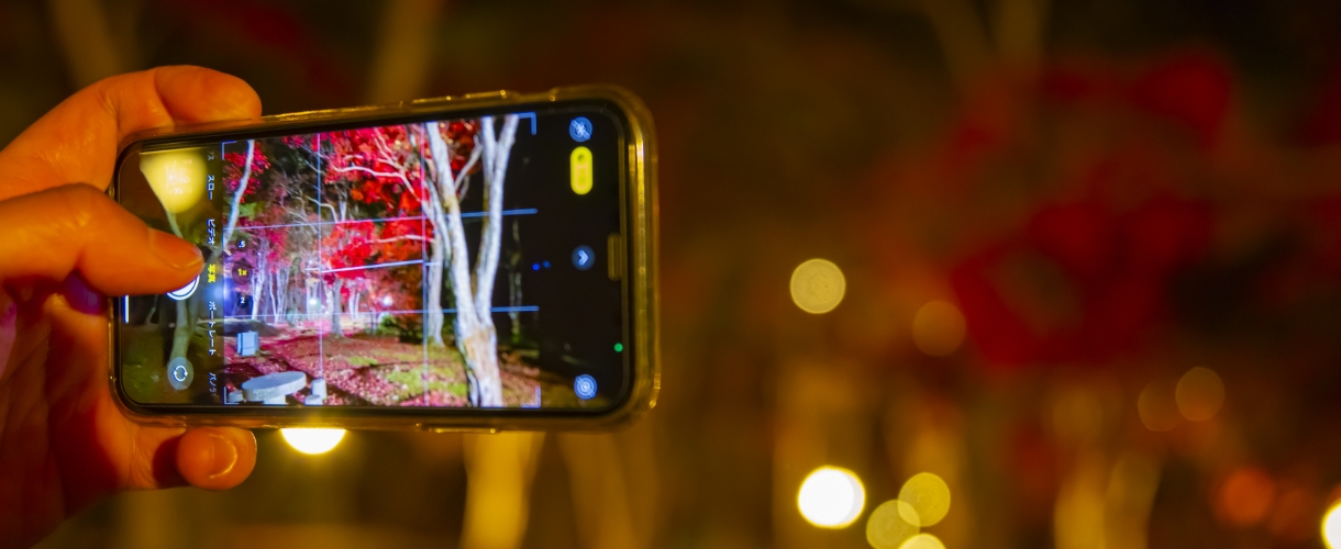 スマホで夜の紅葉を撮影している様子