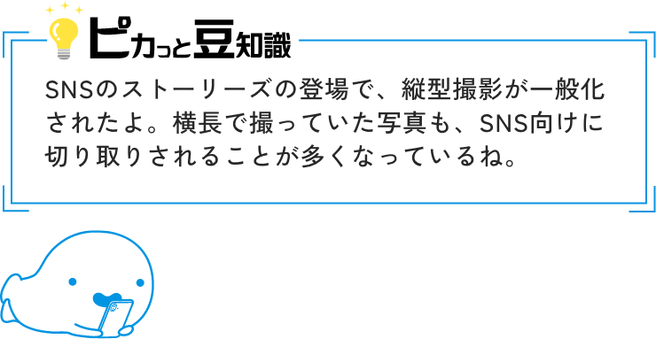ピカっと豆知識　SNSのストーリーズの登場で、縦型撮影が一般化されたよ。横長で撮っていた写真も、SNS向けに切り取りされることが多くなっているね。