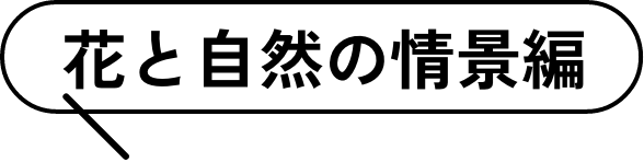花と自然の情景編