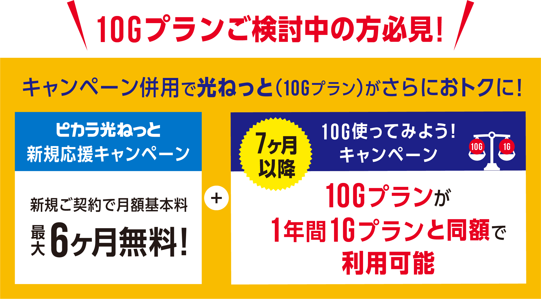 10Gプランご検討中の方必見!/キャンペーン併用で光ねっと（10Gプラン）がさらにおトクに!/ピカラ光ねっと新規応援キャンペーン/新規ご契約で月額基本料最大6ヶ月無料!/7ヶ月以降/10G使ってみようキャンペーン/10Gプランが1年間1Gプランと同額で利用可能