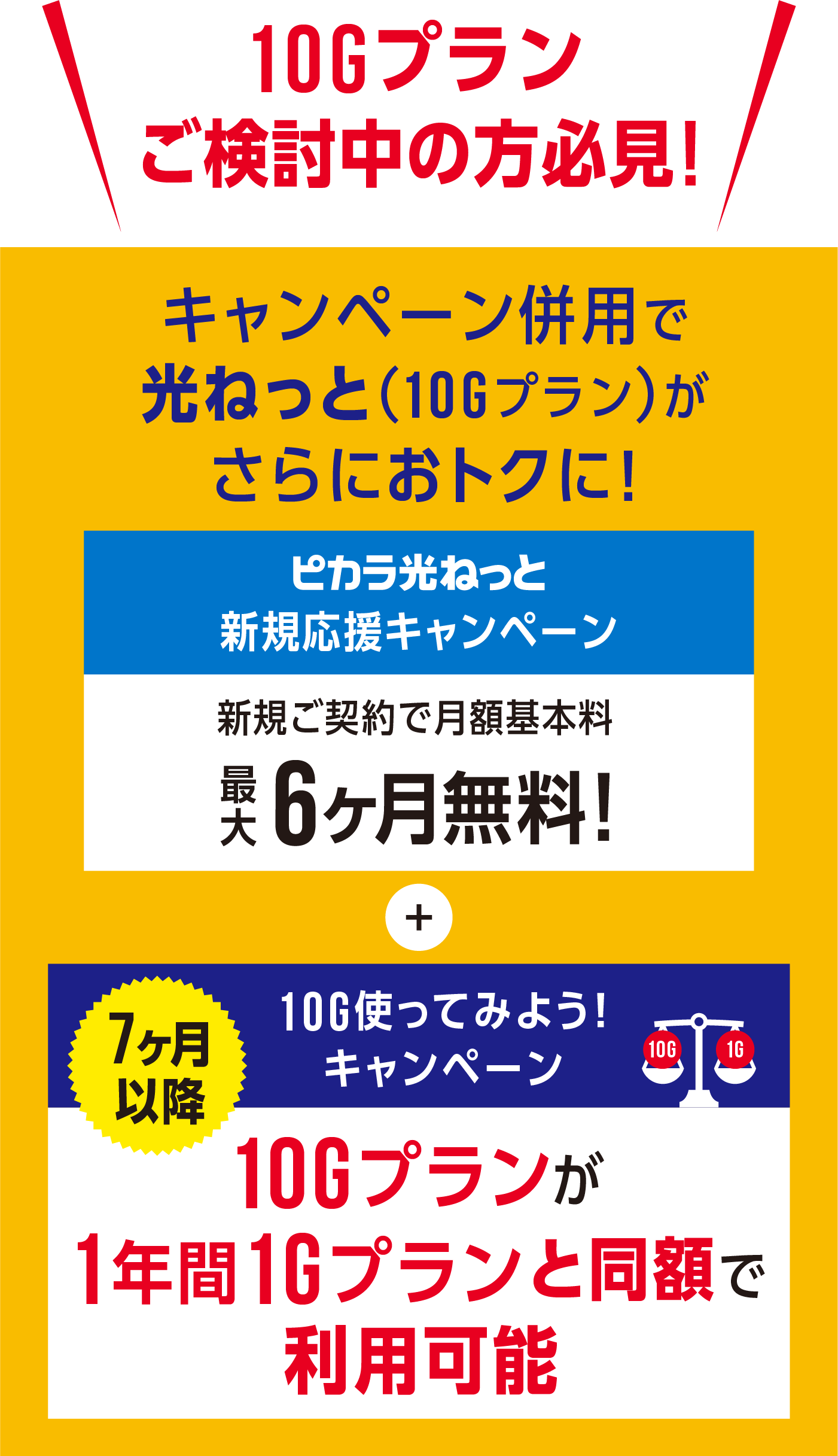 10Gプランご検討中の方必見!/キャンペーン併用で光ねっと（10Gプラン）がさらにおトクに!/ピカラ光ねっと新規応援キャンペーン/新規ご契約で月額基本料最大6ヶ月無料!/7ヶ月以降/10G使ってみようキャンペーン/10Gプランが1年間1Gプランと同額で利用可能