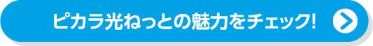 ピカラ光ねっとの魅力をチェック！