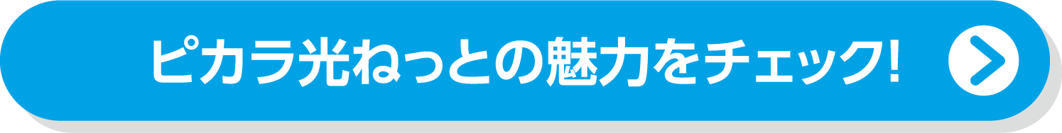ピカラ光ねっとの魅力をチェック！