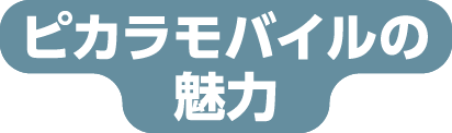 ピカラモバイルの魅力