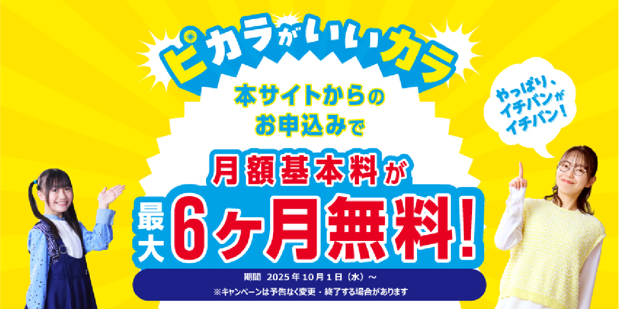【ピカラ光ねっと】〈公式サイト限定キャンペーン〉月額基本料が最大6ヶ月無料！