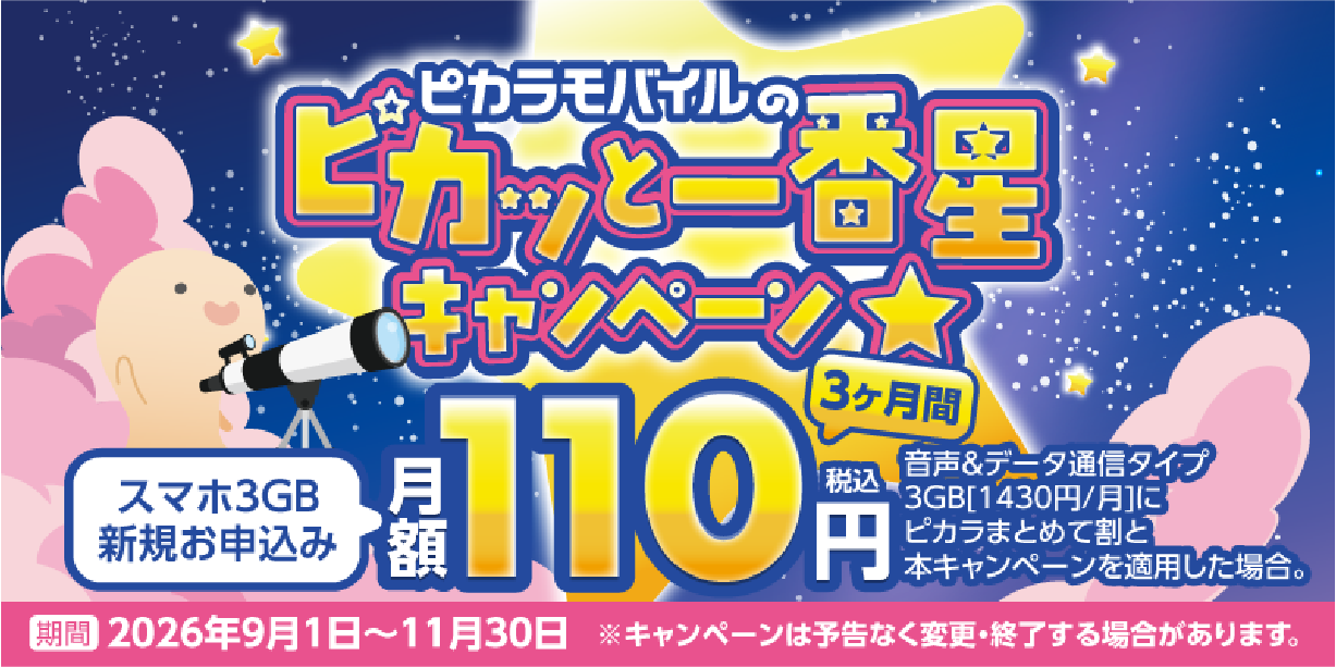 【ピカラモバイル】おトクの大波だ！サマーキャンペーン開催中！スマホ3GBが6ヶ月間月額550円（税込）！