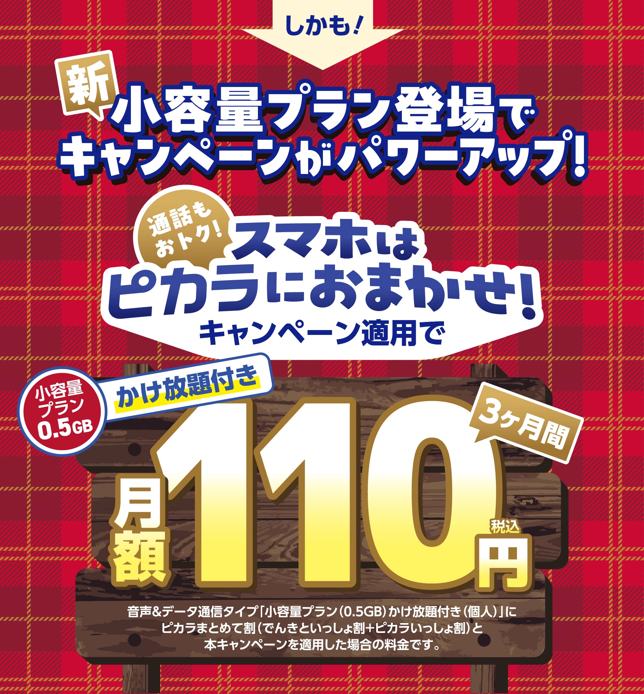 しかも！新小容量プラン登場でキャンペーンがパワーアップ！ 通話もおトク！スマホはピカラにおまかせ！キャンペーン適用で小容量プラン0.5GBかけ放題付き3ヶ月間月額110円（税込）
