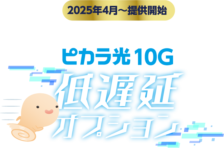ピカラ光 10G 低遅延オプション