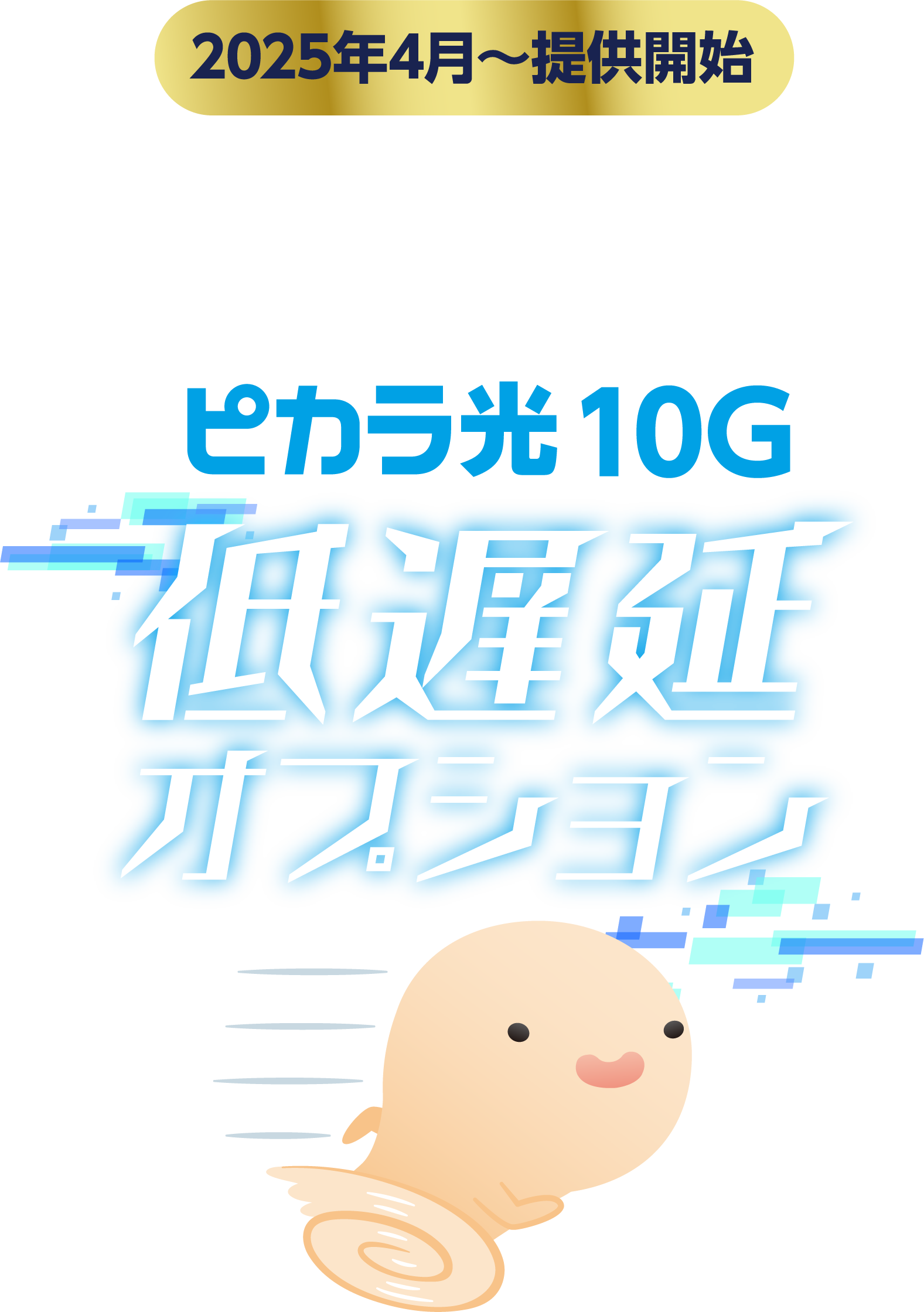 ピカラ光 10G 低遅延オプション